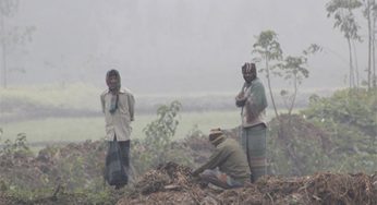 শৈত্যপ্রবাহ কমে বাড়বে তাপমাত্রা