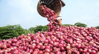 ঢাকার খবরে হাজীগঞ্জে ১৭০ থেকে বাড়িয়ে ২’শ ১০ টাকায় পিঁয়াজ বিক্রি