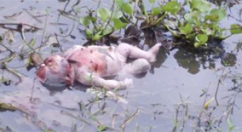 চাঁদপুরের শাহরাস্তিতে খাল থেকে নবজাতকের মৃতদেহ উদ্ধার