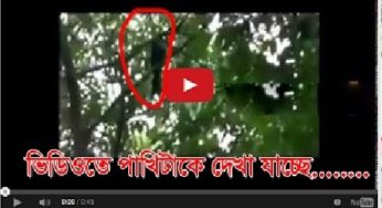 ধামরাইয়ে কবরস্থানে ‘বাবা বাঁচাও, মা বাঁচাও, আল্লাহ’ আওয়াজ