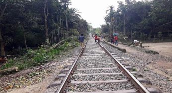 চাঁদপুরে রেলওয়ের বিদ্যুৎ লাইনের গাছ পড়ে অর্ধ লাখ টাকার ক্ষতি