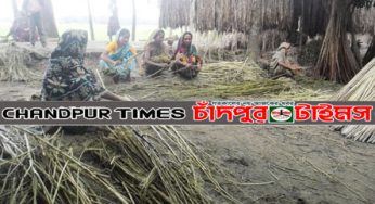 কচুয়ায় বিলুপ্তপ্রায় পাটের সোনালি আঁশে কৃষাণ-কৃষাণীর মুখে হাসি