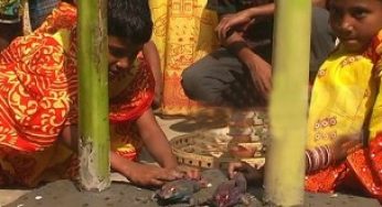 কুসংস্কার : গাইবান্দায় বৃষ্টি কামনায় ব্যাঙের বিয়ে!