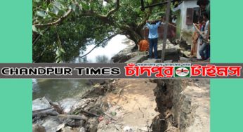 চাঁদপুরে ৫ ঘর-ভিটে-মাটিসহ বিস্তীর্ণ এলাকা নদীগর্ভে বিলীন