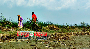 চাঁদপুরে ঈদে আনন্দভ্রমণের নামে চরে গিয়ে যুবক-যুবতীদের অনৈতিক কান্ড