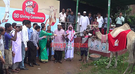 কুমিল্লায় ‘মোজো’র ক্যাম্পেইনের বিজয়ীর হাতে উট হস্তান্তর