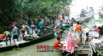 চাঁদপুরে ইলিশ প্রজনন মৌসুমে ভয়ংকর জেলেরা