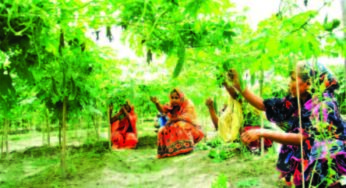 করলার পুষ্টিগুণ ও উপকারিতা