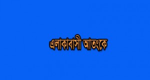 উপজেলা সংবাদ