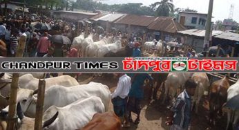 ঈদে জমে উঠেছে বাকিলা কোরবানি পশুরহাট