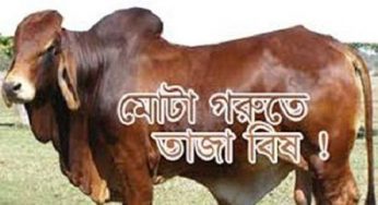 ভেজাল গরু চেনার উপায়