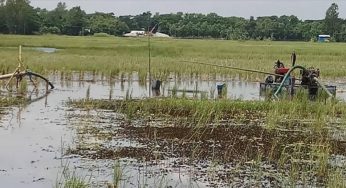 হাজীগঞ্জে কৃষি জমিতে শতাধিক ড্রেজার : হুমকির মুখে ফসলি জমি