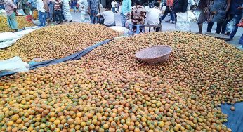 সুপারি আর নারিকেল চাষের উপযুক্ত ভূমি লক্ষ্মীপুর