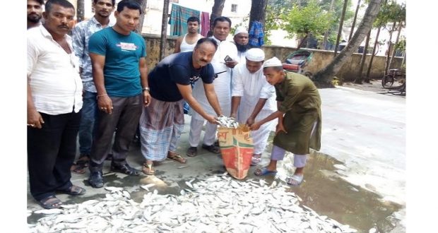 চাঁদপুরে ২৫০ কেজি জাটকা ইলিশ জব্দ