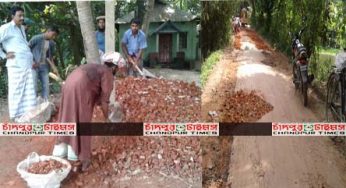 কচুয়া-তেগুরিয়া দ্রুত গতিতে চলছে সংস্কার কাজ