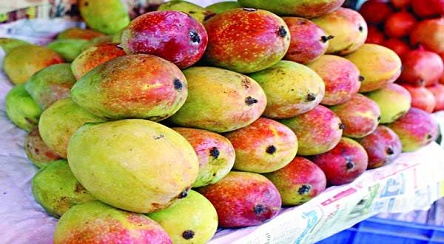 Mango Sundori