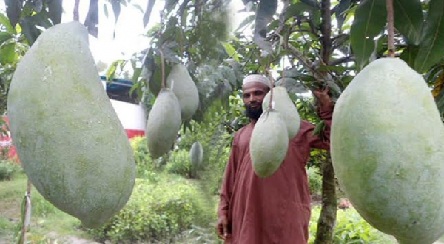 একটি লম্বায় ১৩ ইঞ্চি ওজনে ৪ কেজি