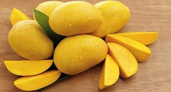 বছরব্যাপি ফ্রিজে পাকা আমকে তাজা রাখার রহস্য