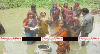 সরকারি খালে ৪৩ নারীর মাছ চাষে স্বাবলম্বি হওয়ার গল্প