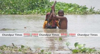 চাঁদপুরে মেঘনার ভয়াবহ ভাঙ্গনে বিলিন হচ্ছে ফসলি জমি