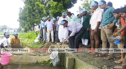 হরিপুরে মৎস্য সপ্তাহে পোনা মাছ অবমুক্তকরণ