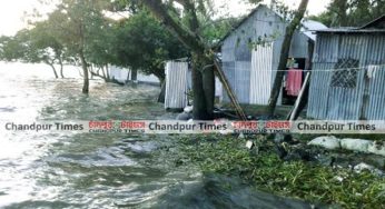 পদ্মা-মেঘনার দ্বিমুখী থাবায় বিপর্যস্ত চাঁদপুরের জনপদ!