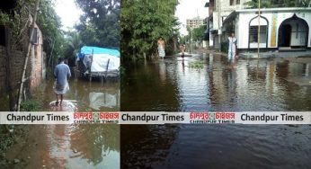 তলিয়ে গেছে চাঁদপুর বঙ্গবন্ধু সড়ক : পানিবন্দি শতাধিক পরিবার