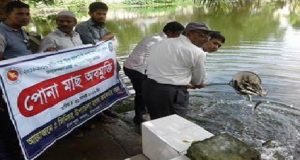 মতলবে কলেজ ছাত্রাবাসের রক্ষকই যখন ভক্ষক