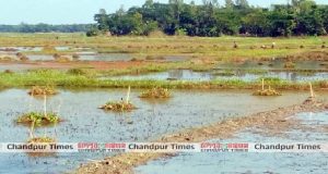 ২২ বছর ধরে বালির রাজপ্রাসাদে রাজা, মাথায় প্লাস্টিকের মুকুট!