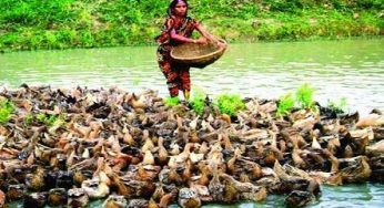 চলতি বছর রাষ্ট্রায়ত্ত ব্যাংকগুলোতে বরাদ্দ ৩০ হাজার ৭শ’কোটি টাকা