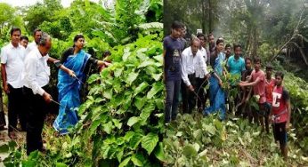 স্বেচ্ছাশ্রমে মেঘনা-ধনাগোদা বেঁড়িবাঁধের আগাছা পরিস্কার অভিযান