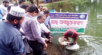 চাঁদপুর সদরের ১৬ প্রতিষ্ঠানের ১৯ পুকুরে পোনা মাছ অবমুক্তকরণ