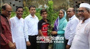 এক যোগে চাঁদপুরের ৮৯ ইউনিয়নে রোপণ হলো ১ লাখ গাছের চারা