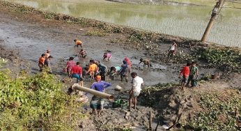 হাজীগঞ্জে সরকারি খালগুলো প্রভাবশালীদের দখলে : বিপাকে কৃষকরা