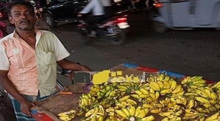 অনর্গল ইংরেজিতে কথা বলে কলা বিক্রি!