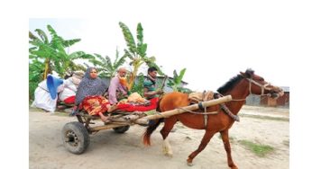 মতলবে বর-যাত্রীর ঘোড়ার গাড়ি উল্টে নারী-শিশুসহ আহত ৫