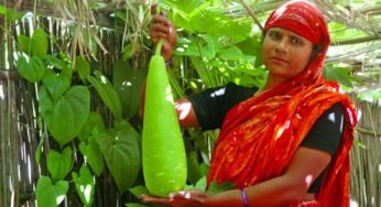 নিলামে উঠা লাউ নিয়ে রক্তক্ষয়ী সংঘর্ষে আহত ৫০