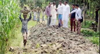 মতলবে ইউপি চেয়ারম্যানের উদ্যোগে ৩ কি.মি.রাস্তা নির্মাণ