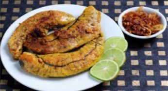 মাছের ডিমে পাবেন যেসব রোগের সমাধান!