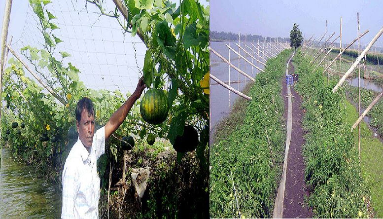 লঞ্চের ফেরিওয়ালা থেকে আজ কোটিপতি!