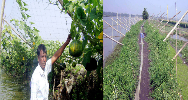 লঞ্চের ফেরিওয়ালা থেকে আজ কোটিপতি!