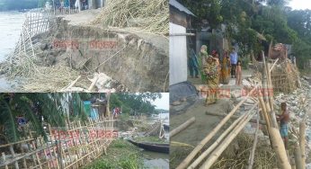 চাঁদপুর আনন্দবাজারে তীব্র নদী ভাঙন : দ্রুত পদক্ষেপ দাবি
