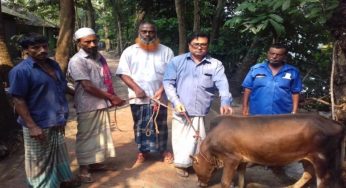 ১০ টাকা ফি দিয়ে ফরিদগঞ্জের খোরশেদ হারানো গরু ফিরে পেল