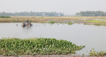 হাজীগঞ্জে কৃষি জমিতে ড্রেজারে বালু উত্তোলন : হুমকির মুখে ফসলি জমি