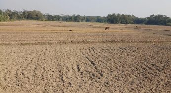 হাজীগঞ্জে পানির অভাবে সেচ কার্যক্রম ব্যাহত : কৃষকরা দিশেহারা