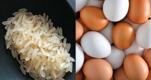 Plastic-rice-&-egg