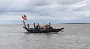 ইলিশ রক্ষায় সব ধরনের ফাঁস জাল নিষিদ্ধ