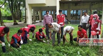 চাঁদপুরে মশা নিধন ও পরিচ্ছন্নতা অভিযানে রেড ক্রিসেন্ট