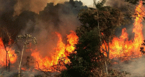 সততার দৃষ্টান্ত স্থাপন করলেন পরিবার পরিকল্পনা পরিদর্শক