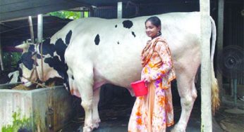 ভাগ্যরাজকে পালন করেও ভাগ্য পরিবর্তন হলো না ইতির